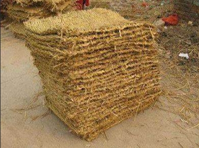 寧夏午夜香蕉福利视频 寧夏午夜香蕉福利视频