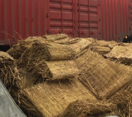 寧夏香蕉网在线播放