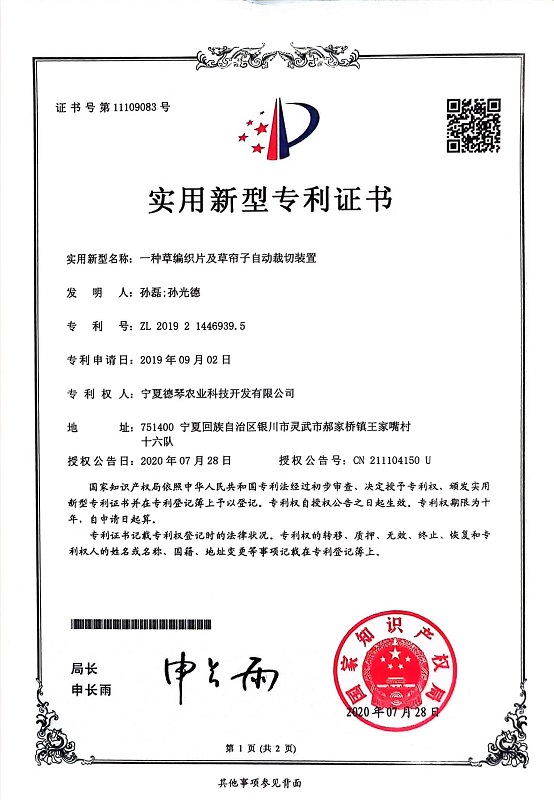 寧夏香蕉网在线播放子