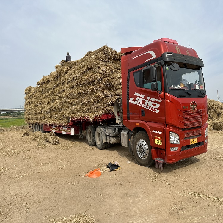 銀川香蕉网在线播放