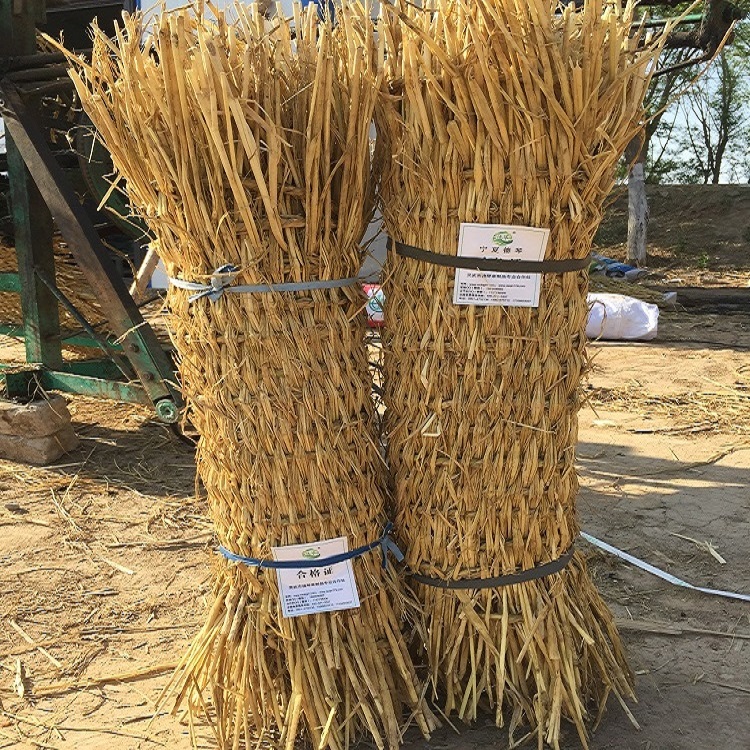 寧夏香蕉网在线播放子 寧夏香蕉网在线播放子